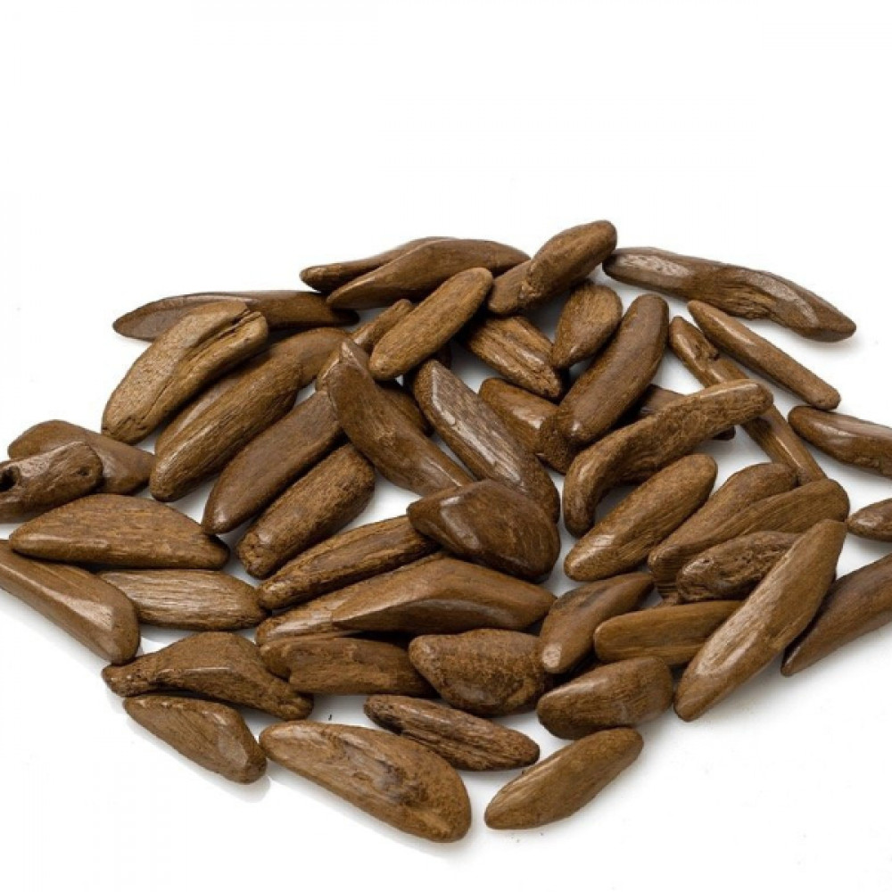 دقة العود الموروكي 